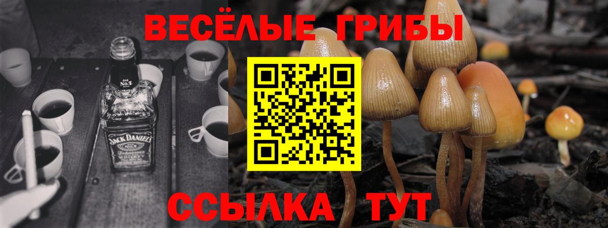 Каменск-Уральский  Галлюциногенные грибы MAGIC MUSHROOMS  цены   Вход с VPN  Псилоцибиновые грибы прущие грибы 